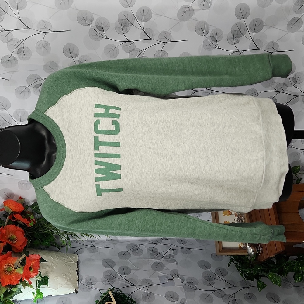 Alternative Earth Twitch Graphic Raglan Sweatshirt Gray - Small - Picture 5 of 11